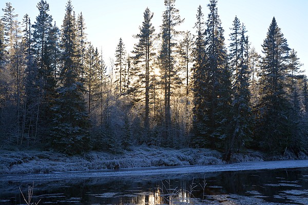 Görälven vid Lillbäcksstugan åt väster