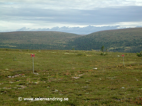 Från Köarskarsfjallets vindskydd mot Storfjällsgraven