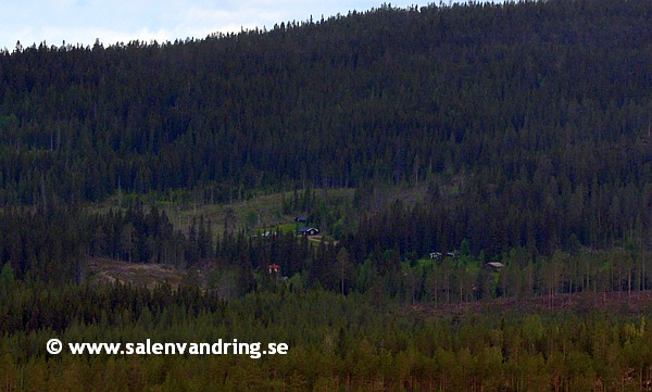 Støsetra från Stora Moberget