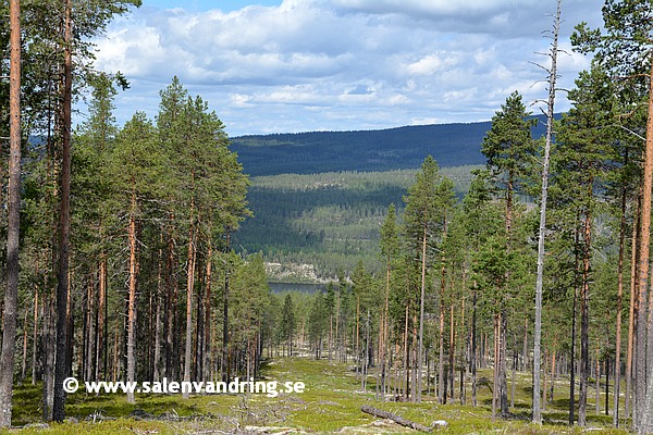 En till vy från riksgränsen på Stora Moberget in i Norge