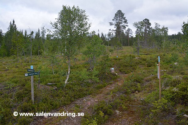 Stogen mot Elgshaugen från Rognholtvegen