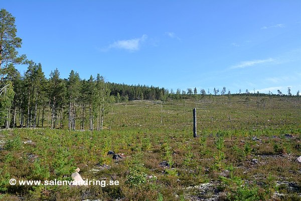 Stora Mobergets gård och vy upp mot ravinen, september 2023