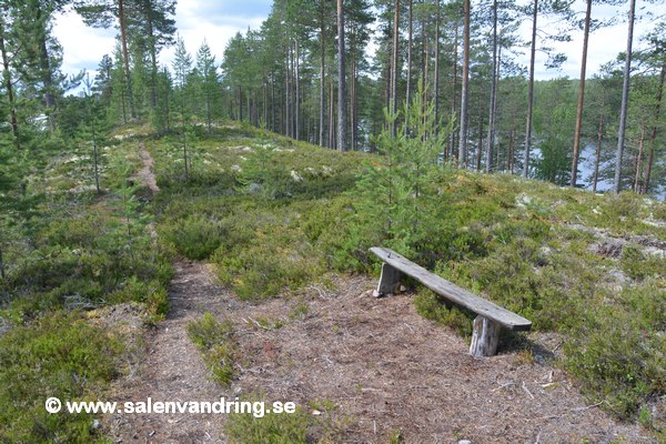 Bänken vid Fløtervegen