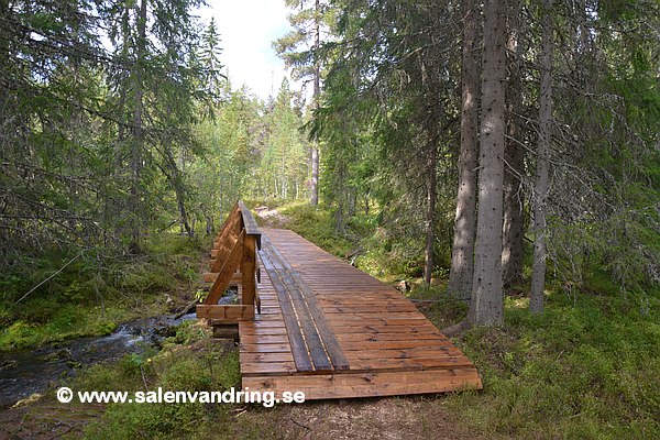 Bron över Norra Saldalsbäcken