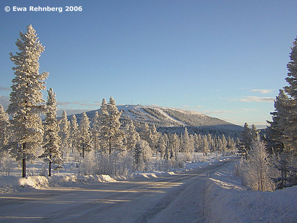 Vy mot Tandådalen från Orrliden. Foto Ewa Rehnberg