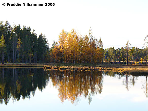 Södra Gäddtjärn. Foto: Freddie Nilhammer