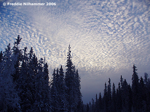 Vålbrändan. Foto: Freddie Nilhammer