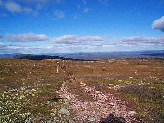 Från Källfjällets topp norrut mot Öjskogsfjället