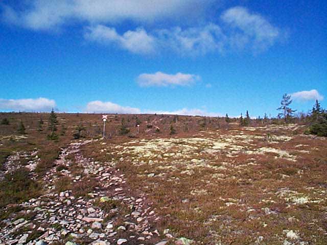 På väg uppför Källfjällets topp