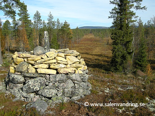 Blästerröset