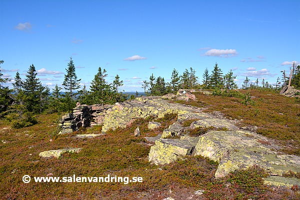 Elgshaugens södra topp