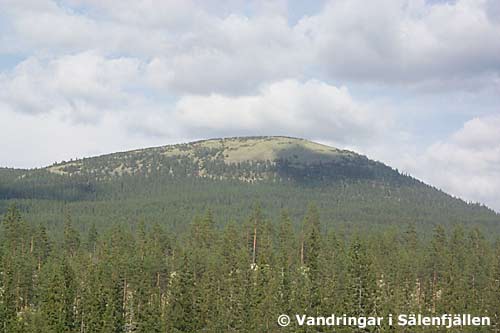 Faksefjell från SV