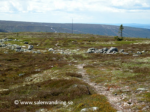 Den västra telemasten från leden upp mot Flatfjällets topp