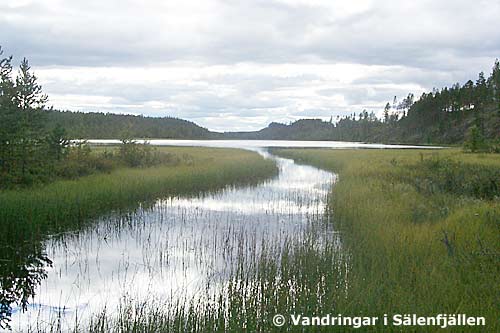 Flersjøen