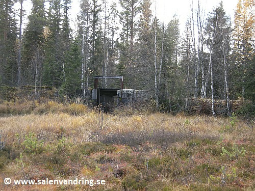 Kattugledammen från öster