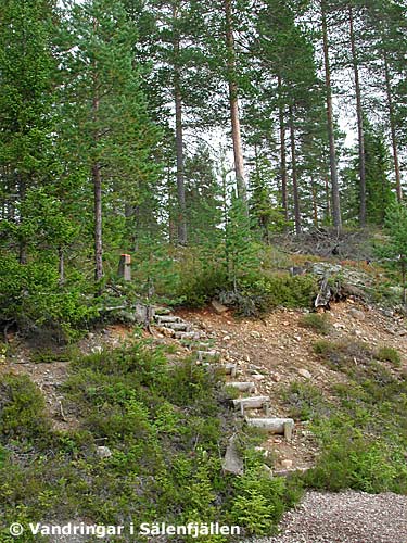 Ledens fortsättning mot Hammarsbyn i utkanten av Kinnvallsjösätra