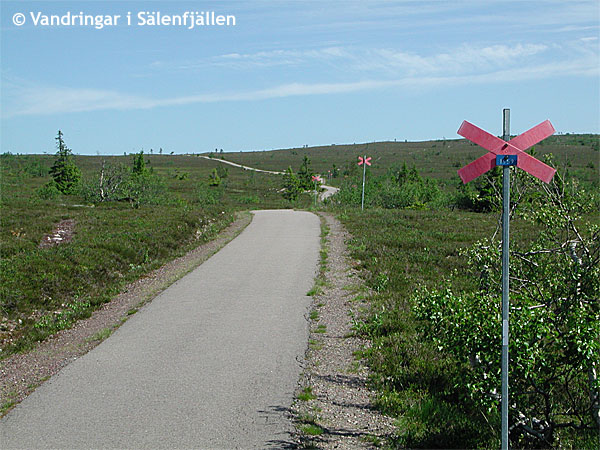 På väg uppför Köarskarsfjället