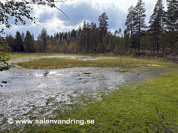 Kråkeggdammen