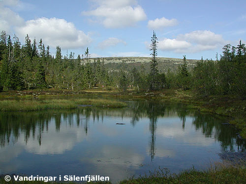 Kruggbäcken