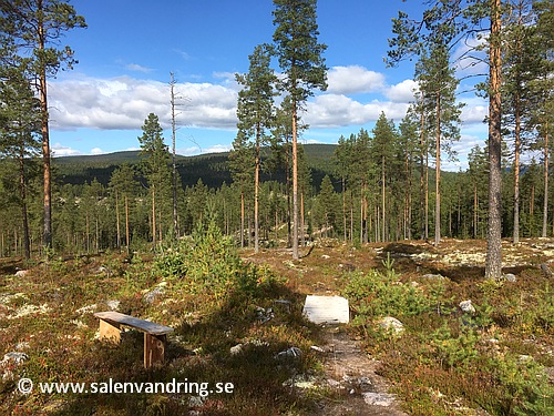 Bänken och bron i stigningen upp på Stora Moberget