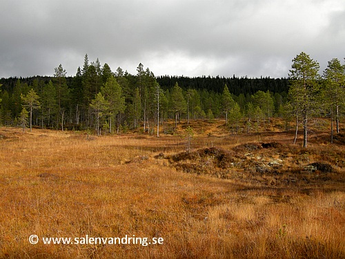 Hängmyr cirka en kilometer väster om Mornässäterstugan. Mossakalen i bakgrunden