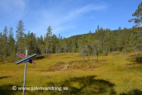 Hängmyr ungefär halvvägs mellan Vålbrändan och Mornässäterstugan. Mossakalen i bakgrunden