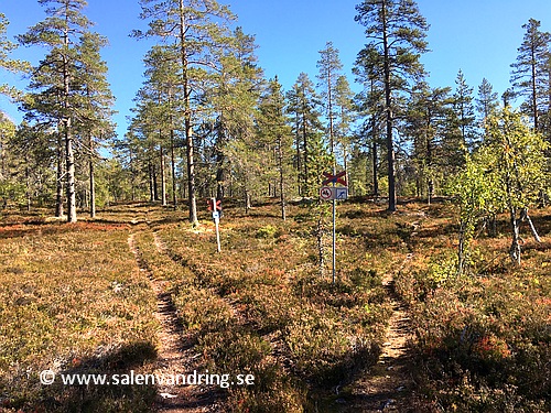 Ledskiljet mot Mossakalsgraven från Sälenringen