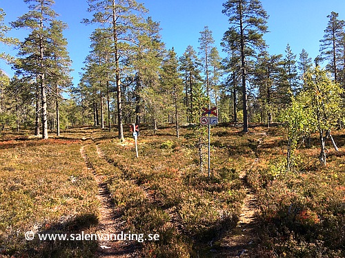 Ledskiljet mot Mossakalsgraven från Sälenringen