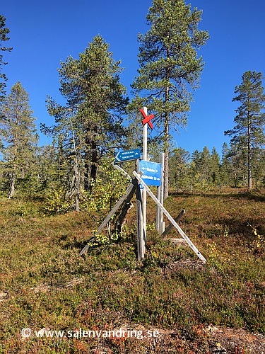 Ledskiljet mot Mossakalsgraven efter Arvkällan