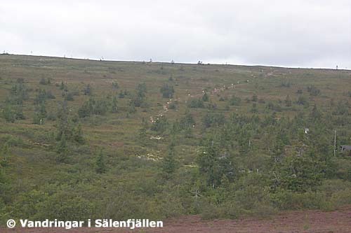 Leden uppför Mellanfjället