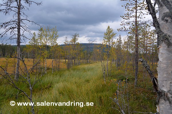 Nærkanalen mot Flervola