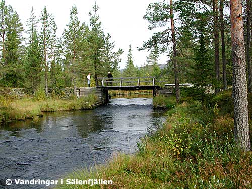 Dammbron vid Rönningsdammen