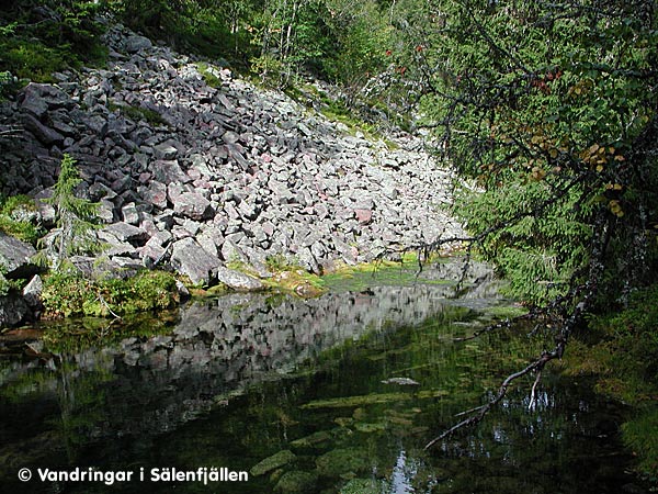 Talusbranten möter vattnet i Saldalen