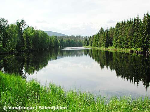 Støa kanal vid nordre tømmerspill