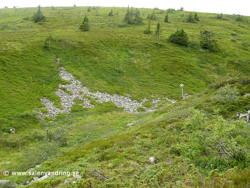 Ravinen i Storfjällsgraven, juli 2009